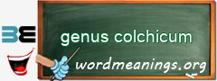 WordMeaning blackboard for genus colchicum